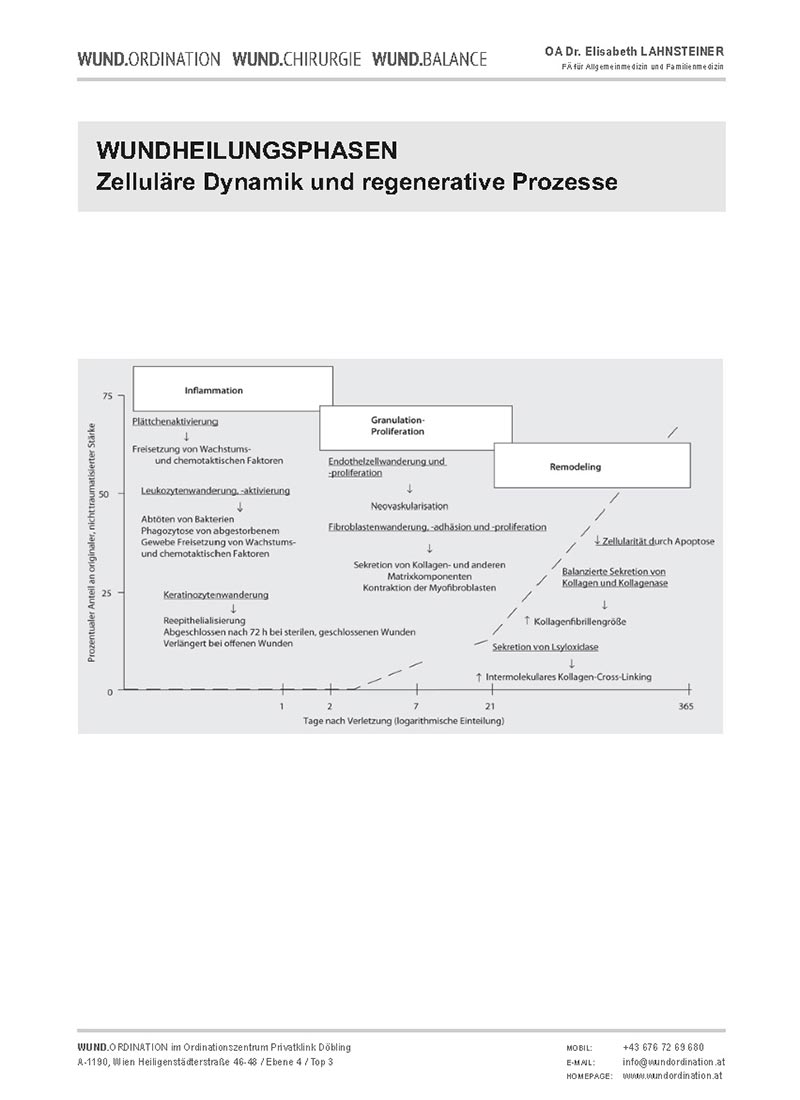 WUNDORDINATION_Wundheilungsphasen-Zelluläre-Dynamik